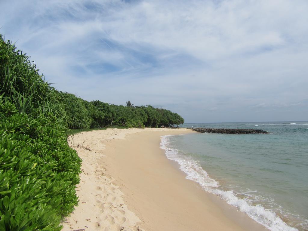 Colonial Surfing Villa Hostel & Home Stay Мидигама-Ист Экстерьер фото