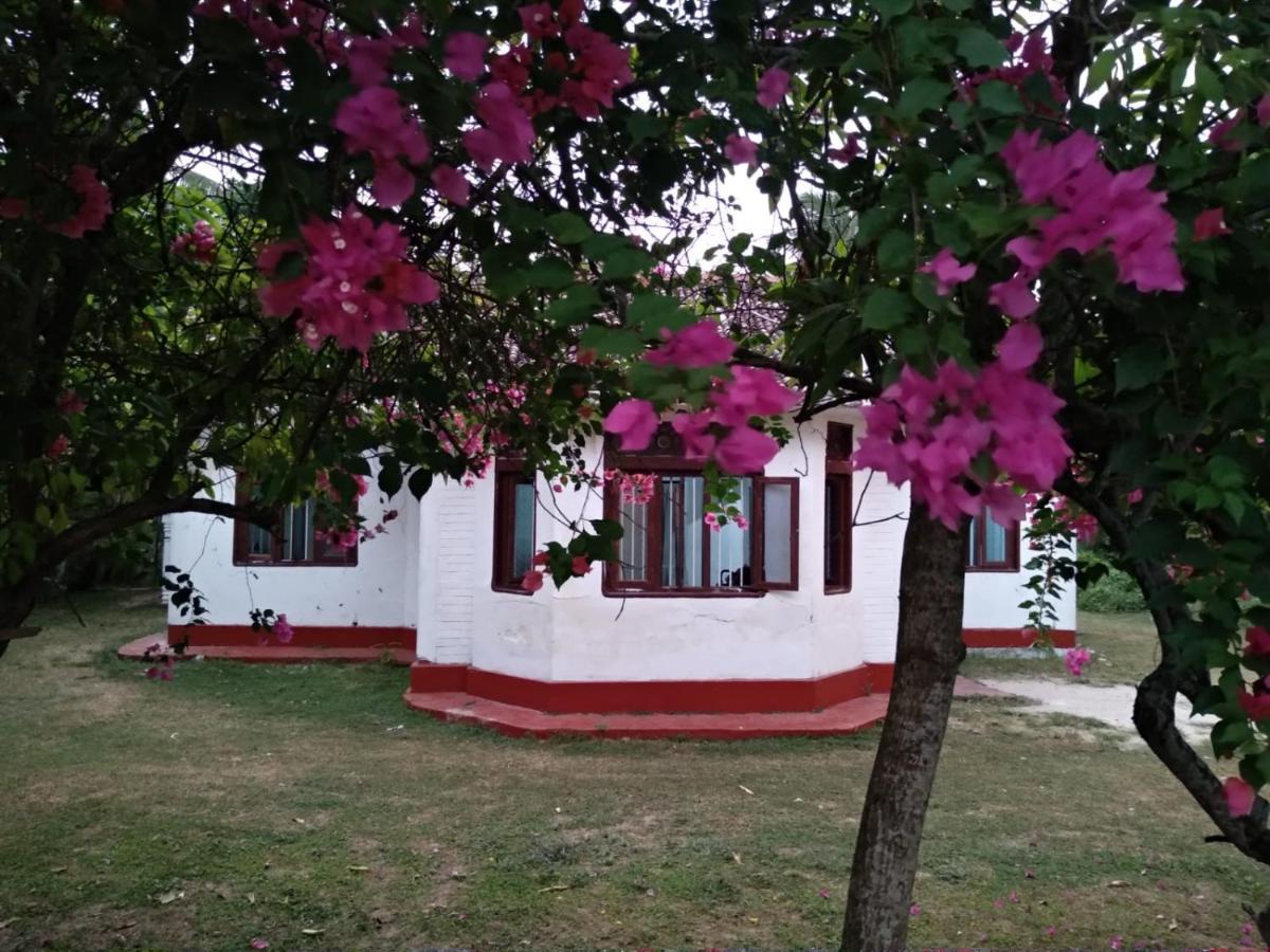 Colonial Surfing Villa Hostel & Home Stay Мидигама-Ист Экстерьер фото